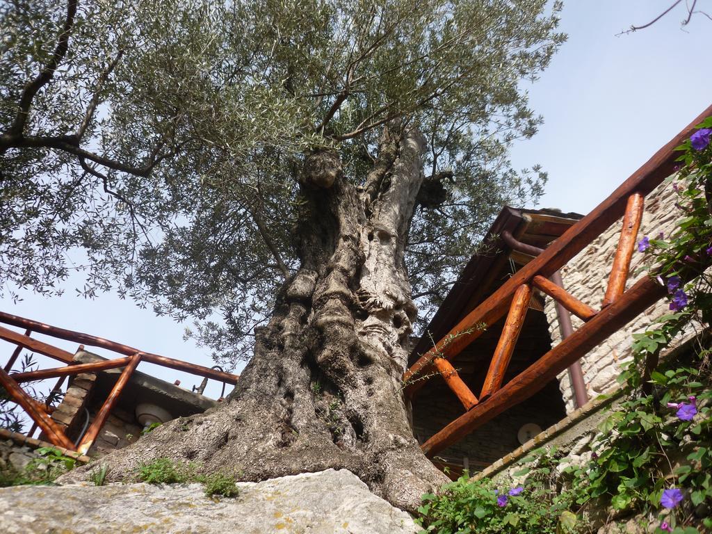Rocca Del Vento Bed & Breakfast San Pantaleone Luaran gambar