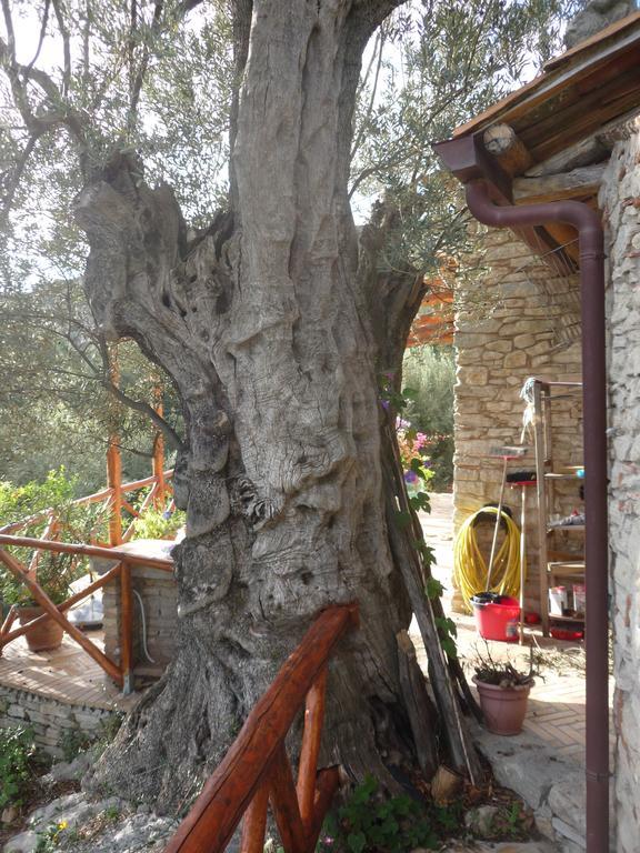 Rocca Del Vento Bed & Breakfast San Pantaleone Luaran gambar