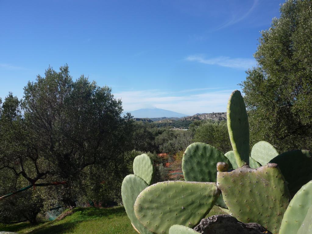 Rocca Del Vento Bed & Breakfast San Pantaleone Luaran gambar