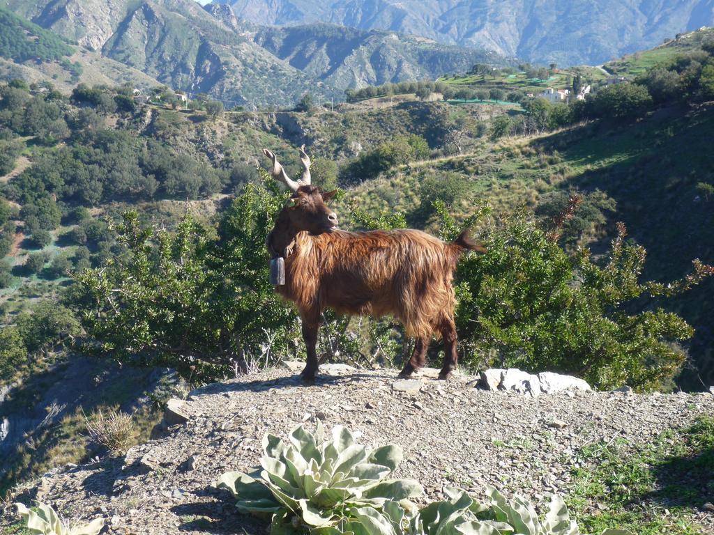 Rocca Del Vento Bed & Breakfast San Pantaleone Luaran gambar