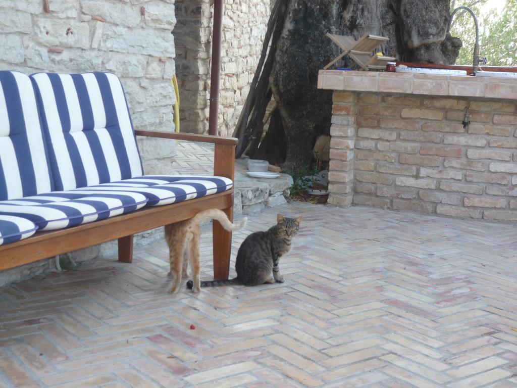 Rocca Del Vento Bed & Breakfast San Pantaleone Luaran gambar